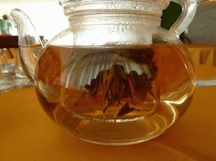 The form of the Ivan-tea